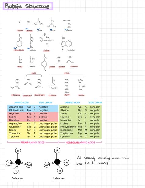 prnheb|L10 Translation .